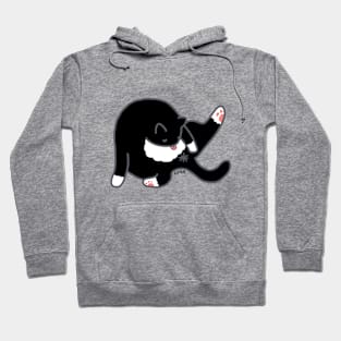 Clean Kitty Hoodie